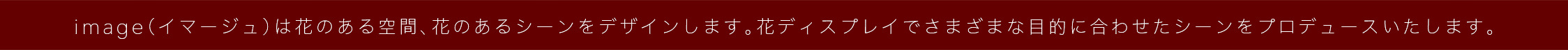 ss02_20191113113147818.jpg
