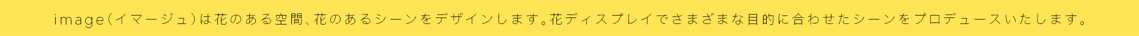 ss04_20191113113147792.jpg