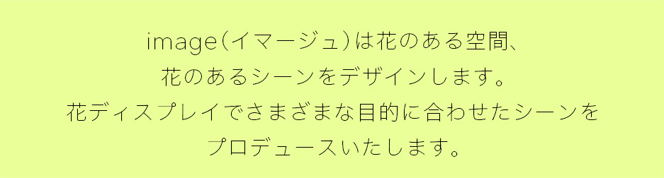 sss01_20191119143855154.jpg