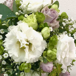 花laboアドバンス作品