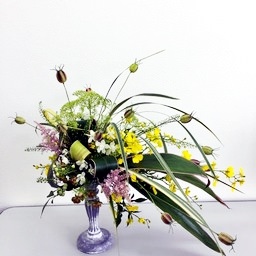 花laboアドバンス作品