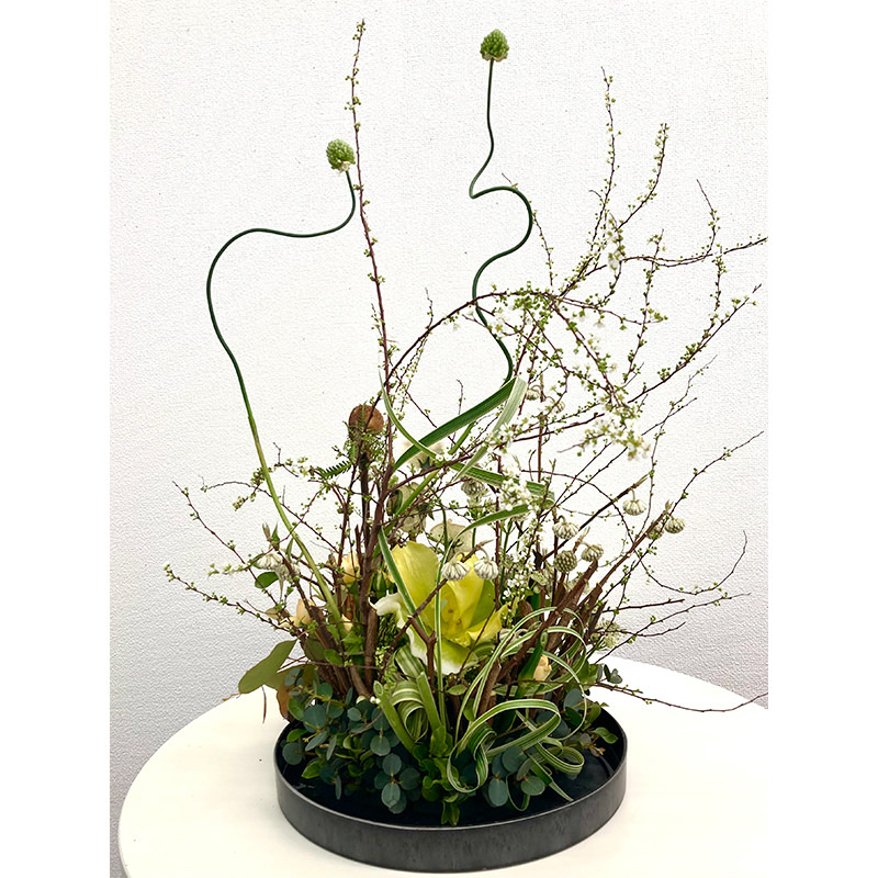 花laboアドバンス作品