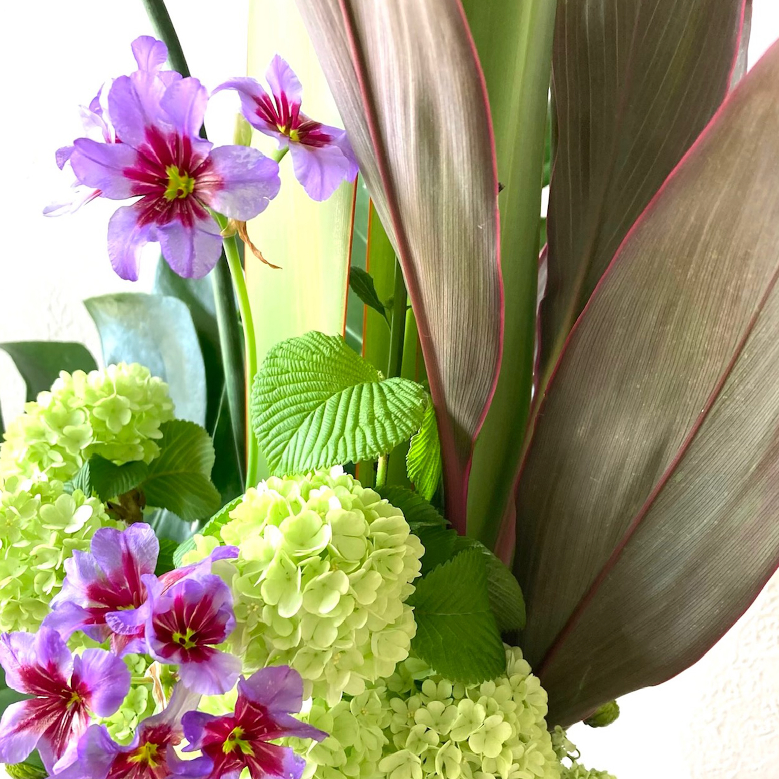 花laboアドバンス作品
