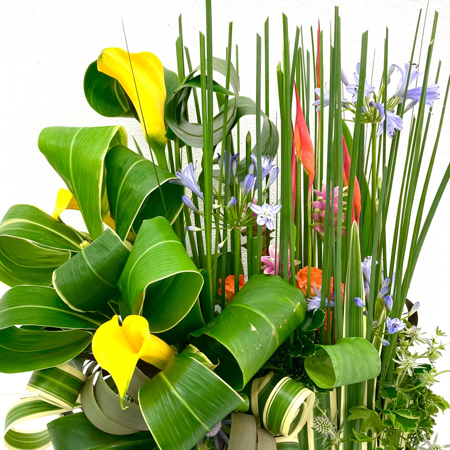 花laboアドバンス作品