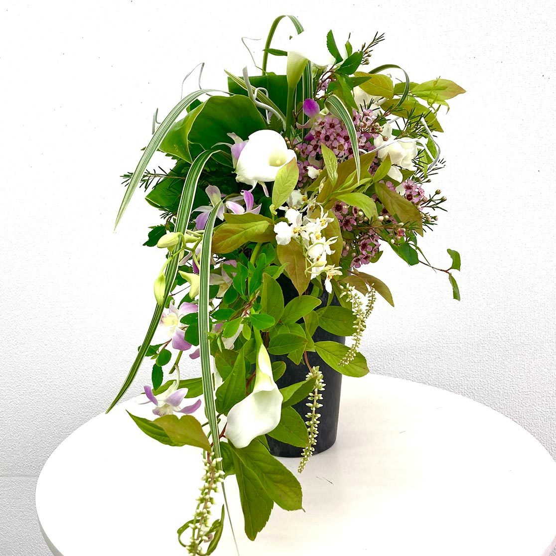 花laboアドバンス作品